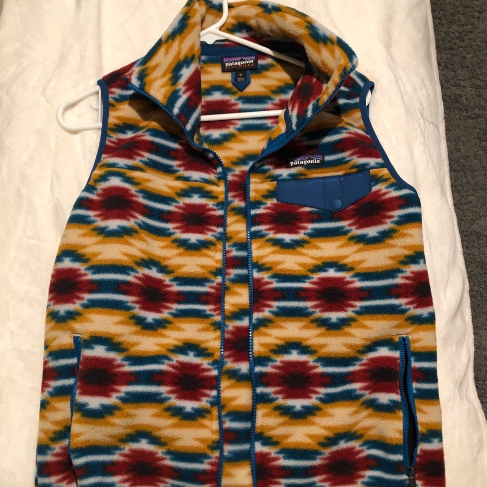 Patagonia Synchilla Vest